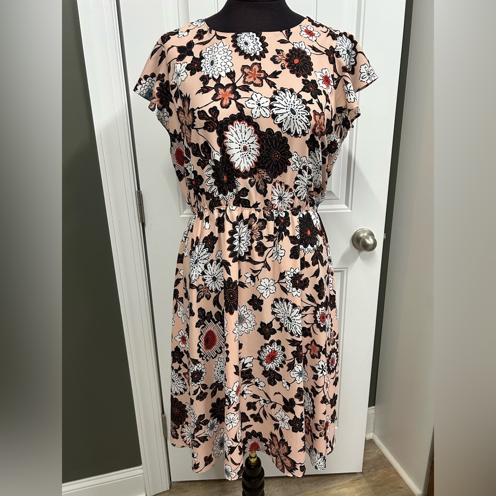 LOFT Floral Midi Dress in Black, White, and Pink
